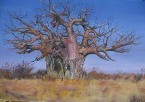 "Baobab Tree"