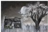 "Broken Africa Trichardt"