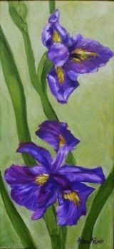 "Country Irises"