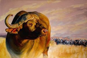 "Buffels in Die Vrystaat"