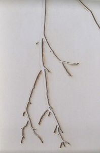 "Roots"