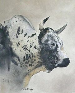 "Nguni 1"