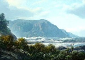 "Wild Coast"