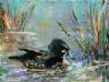 "Cheeky Duck"