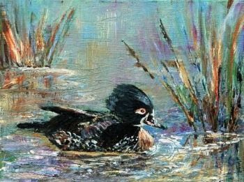 "Cheeky Duck"