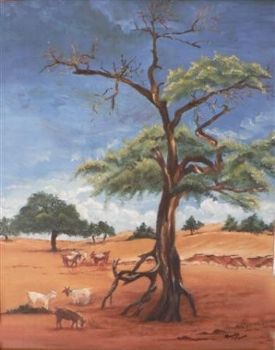 "Kalahari"