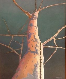 "Blue Gum Tree"