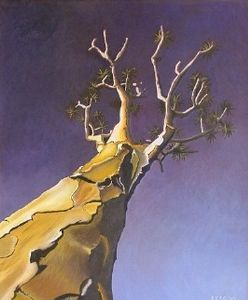 "Quiver Tree"