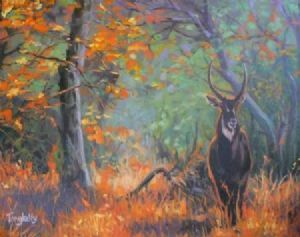 "A Waterbuck in the Morning Sunshine"