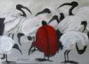 "Scarlet Ibis"