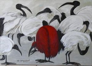 "Scarlet Ibis"