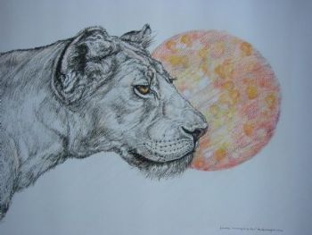 "Lioness Hunting the Sun"