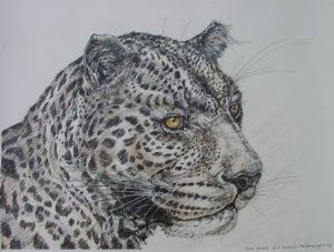 "Tinted Portrait of a Leopard"
