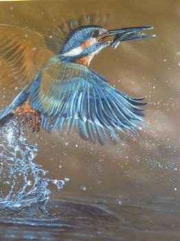 "Malachite King Fisher "