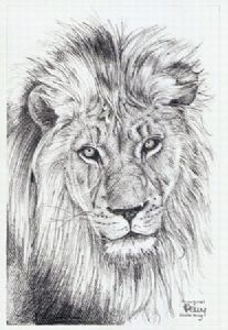 "King"