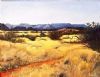 "Karoo Heatscape"