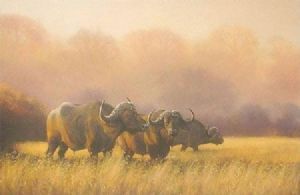 "Late Afternoon"