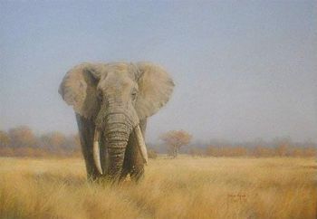 "Broken Tusker"