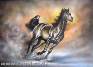 "arabian stallion"