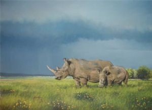 "White Rhino"