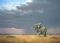 Approaching Storm