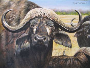 "Buffalo Composition"