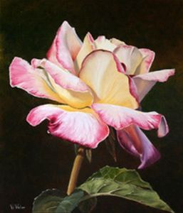 "A Yellow Rose"