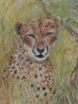 "In the wild"