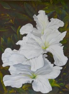 "Wild Flowers"
