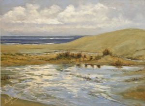 "Rain-Soaked Dunes - Port Alfred"
