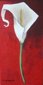 "Calla Lily 1"