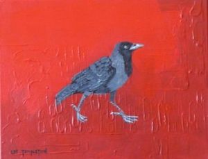 "House Crow"