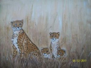 "Cheetah family"