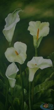 "Arum2"