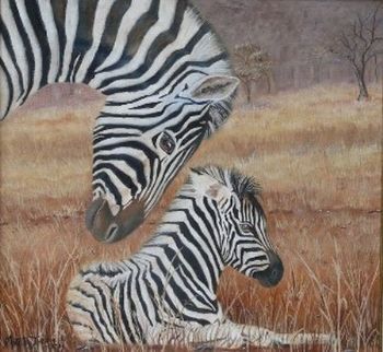 "Zebra Caring"