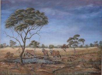 "Gemsbuck at Waterhole"