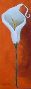 "Tangerine Calla Lily"