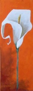 "Tangerine Calla Lily"