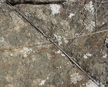 "X Marks the Spot"