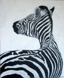 "Zebra #5"