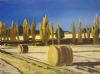 "After the Harvest, Fouriesburg, SA"