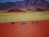 "Wolwedans, Namibia"