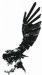 Black Eagle