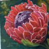 "My Protea"