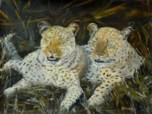 "Leopard Pair"
