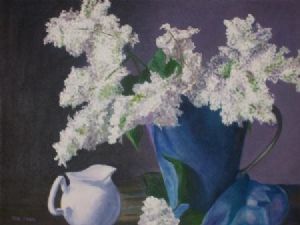 "White Buogonvilia"