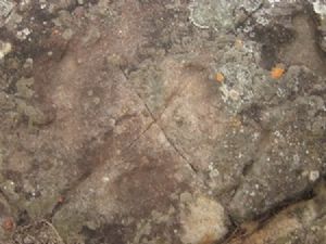 "X Marks the Spot"