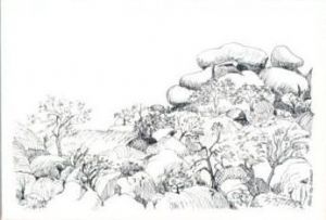 "Rock Formation I"