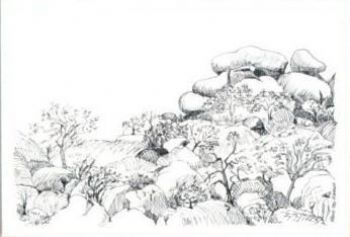 "Rock Formation I"