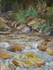 "Rushing Water-Hogsback"